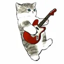 amirr16_ avatar