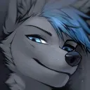 gonfer_08yt
