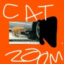 orangecatyellsatzoomclass7891