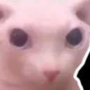 da_soupie