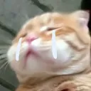chifu07