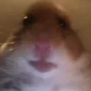thelakef