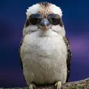 birdupman