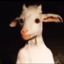 brulter