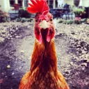 Аватар 0sxntry02