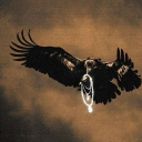 avatar ! 1nOnly🪓💀