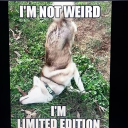 ghost_papi2.0's Avatar