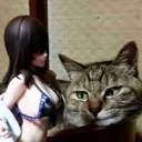 tekamojo