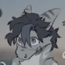 naytedasharkk avatar