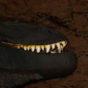 avatar probably not khya