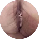 skylikeshadow