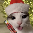 avatar Gde_su_pare_kurvo