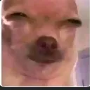 bommiechan