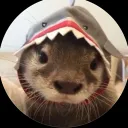 gayotter67