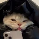 xtkxl