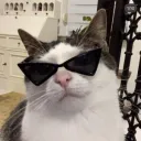 rayanlecat