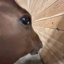 cleitin do pneu's Avatar