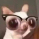 avatar 𝘑𝘢𝘴𝘱𝘦𝘳𝘮𝘰𝘰𝘯☾