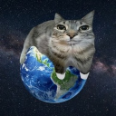 Discord Avatar