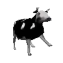 medilogioli