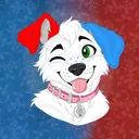 saltythebeatsaberlabrador