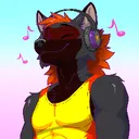 .shadowthefolf
