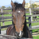 avatar Gotoh_Chihiro