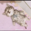 d00doofart