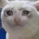 watsonkong avatar