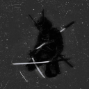 avatar ₩Å℟℟𝟏Ø℟