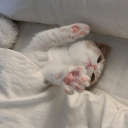 avatar 𝓶𝓾𝓲𝓶𝓪𝓲𝓴𝓲𝓷𝓹𝓱𝓪𝓴.