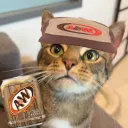 kimiantonellifeet