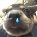 .susnoobgaming
