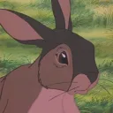 doggie_boogie_ avatar