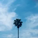 imapleleaf