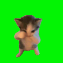 ratteismy
