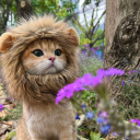 avatar ! AZzuRo 🏴