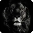 theaslam_