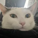 keenny