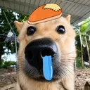 liunengboy