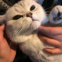 liunengboy