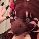 zagiir