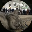 calmspiritt