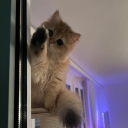 avatar xxxxxxxxxxxxxxxxxxdddd