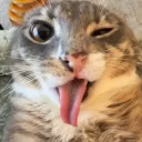 _wiwowiwowiwo