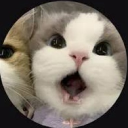 avatar Avery