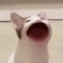 eeeyshisnotreal