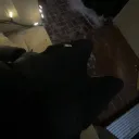 corvox01