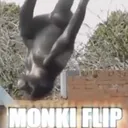 monkeyflip6969