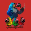 toucan